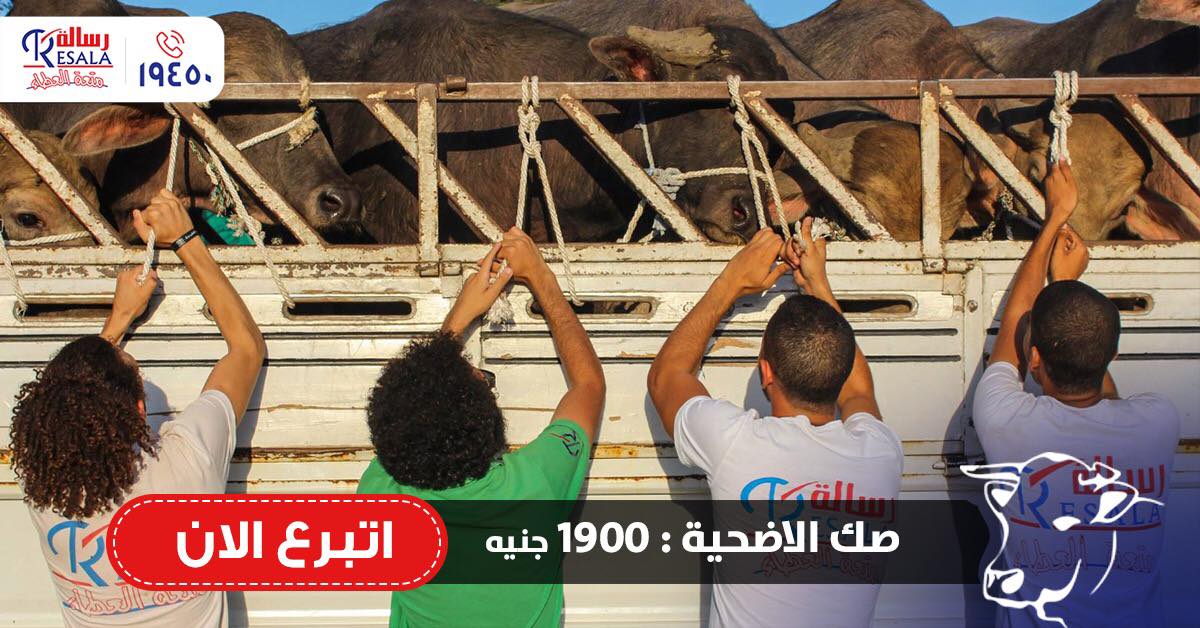 دلوقتى تقدر تتبرع بصك الاضحية مع جمعية رسالة وتسعد قلوب محتاجين كتيير